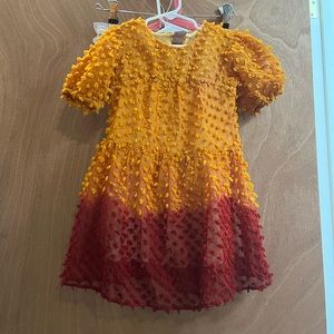 Zara Rust + Orange Dress | Size 6